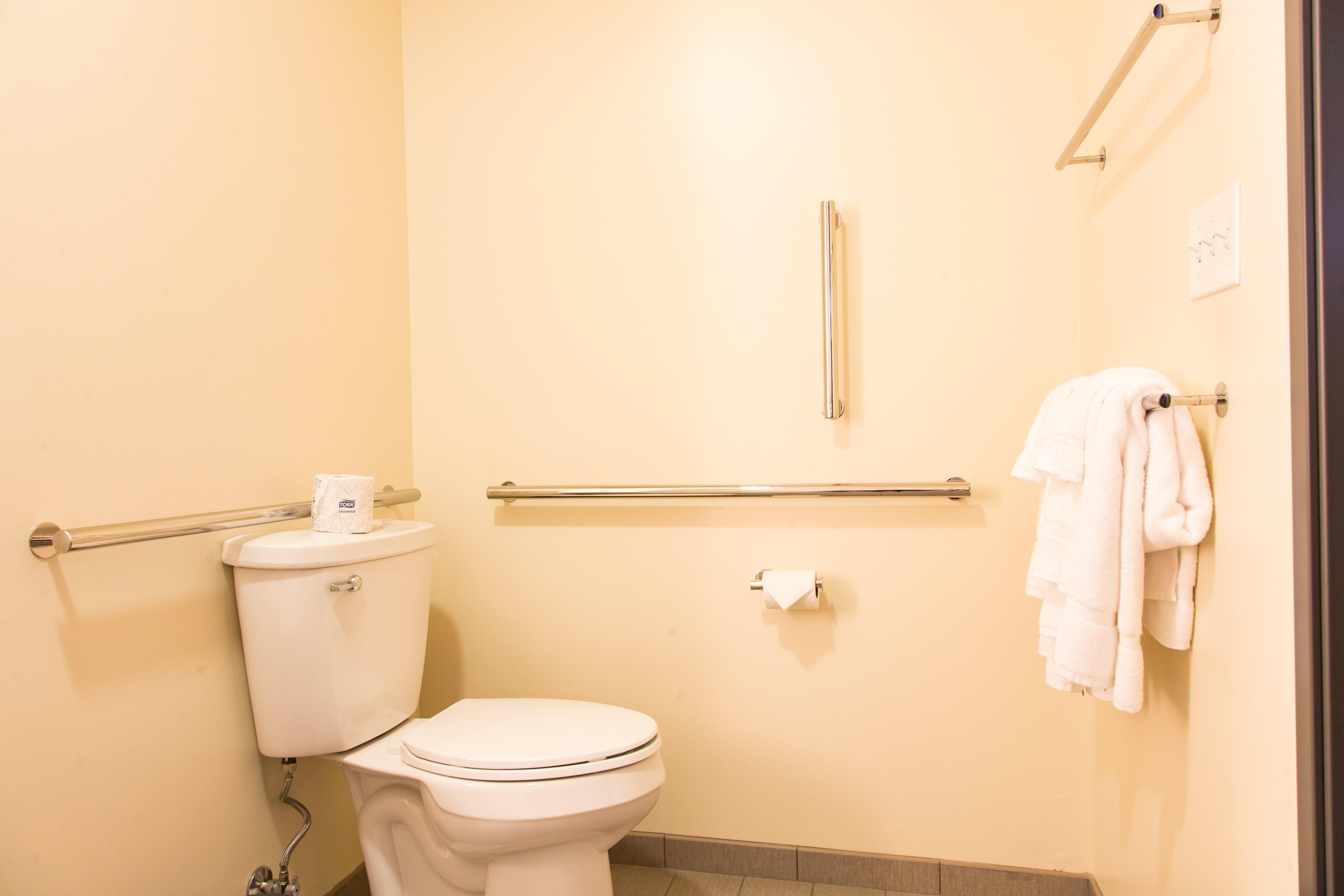 Holiday Inn Hotel & Suites - Mount Pleasant By Ihg Luaran gambar